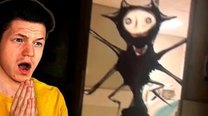 [Фокснео] ОН СЛУЧАЙНО ПОПАЛ НА КАМЕРУ...