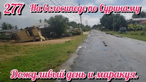 Дождливый день и маракуя. На велосипеде по Южной Америке День 277 Суринам
