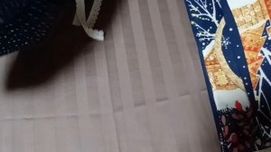 Что шила до праздников/ Пришёл благотворительный мешок доя СВО/ Новогодние подарки.