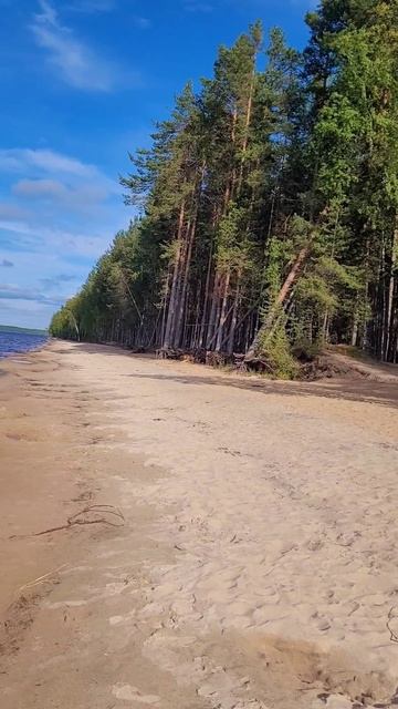 Карелия 2025. Озеро Пальозеро. Июль 2025г (Часть 4) смотреть онлайн