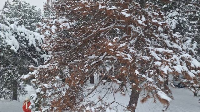 Сказочный Зимний Теллермановский лес. Глухозимье смотреть онлайн