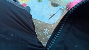 Зимняя рыбалка в январе 2026г.fishing Kazakhstan