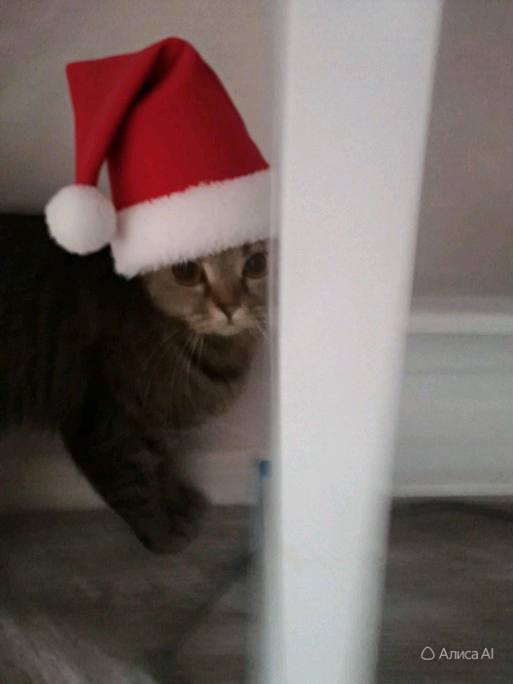 кушаю смотреть онлайн