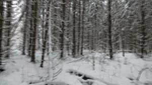 Охота с Добычем 05.01.2026.