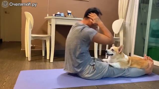 маленький помощник в зарядке смотреть онлайн