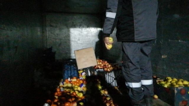 Сбор Яблок. Как это происходит? Насадка на штангу для уборки Яблок смотреть онлайн