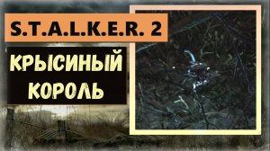 S.T.A.L.K.E.R. 2: Heart of Chornobyl  Где забрать редкий артефакт "Крысиный король" бонус в описании