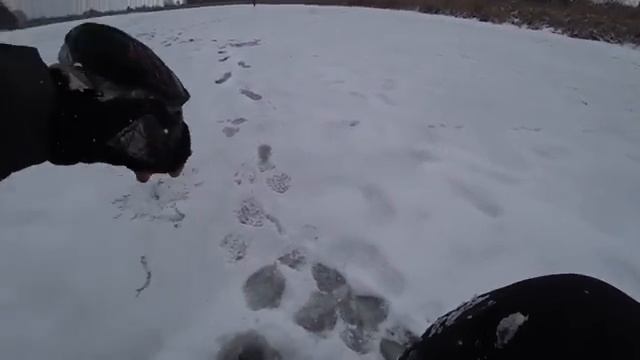 ПЛОТВА И ОКУНЬ НА БЕЗМОТЫЛКУ! смотреть онлайн