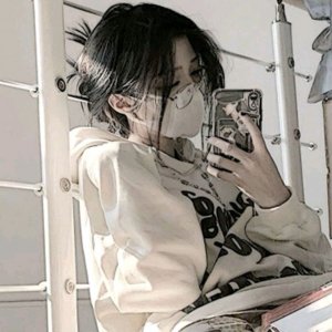 лошади 🐴 Шляйх