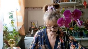 1000016716.mp4 🚀🖋️🚀 РОЖДЕСТВЕНСКИЙ СОЧЕЛЬНИК 💃🔥МОИ БУДНИ 🚀🖋️🚀