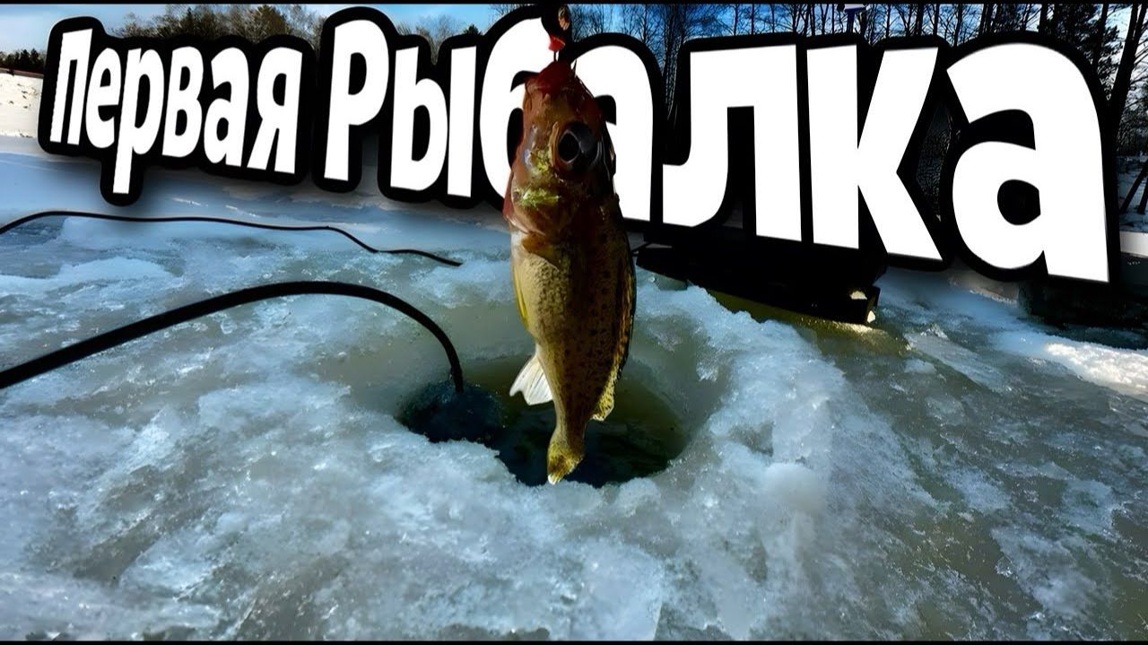 рыбалка на иртыше тут рыбы нет !? смотреть онлайн