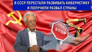 В СССР перестали развивать кибернетику и получили развал большой страны! Валентин Катасонов