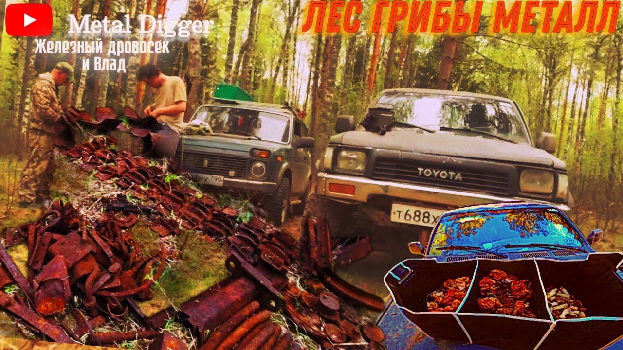 Финальная часть поиска в месте за каналом! Вывезли всё..почти..