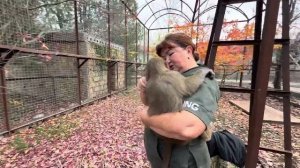 Вот и состоялась наша первая встреча с Маняшей, она просто не отпускает меня)