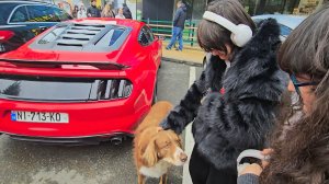 Пробуем чай с фабрики, едим в турецких ресторанах. Возвращаемся домой