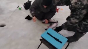 06.01.26 г. РК Волна