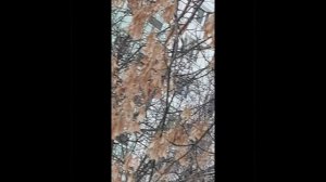 красота в деталях