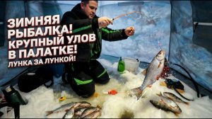 Рыбалка в мороз. Искал окуня, а наловил плотвы. Отличный клёв!