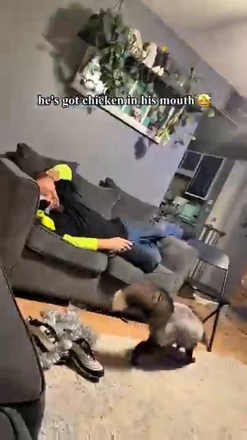 Что сказала лиса смотреть онлайн