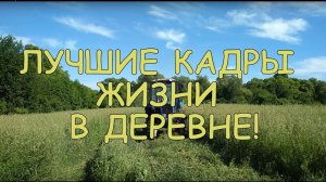 Лучшие моменты деревенской жизни!