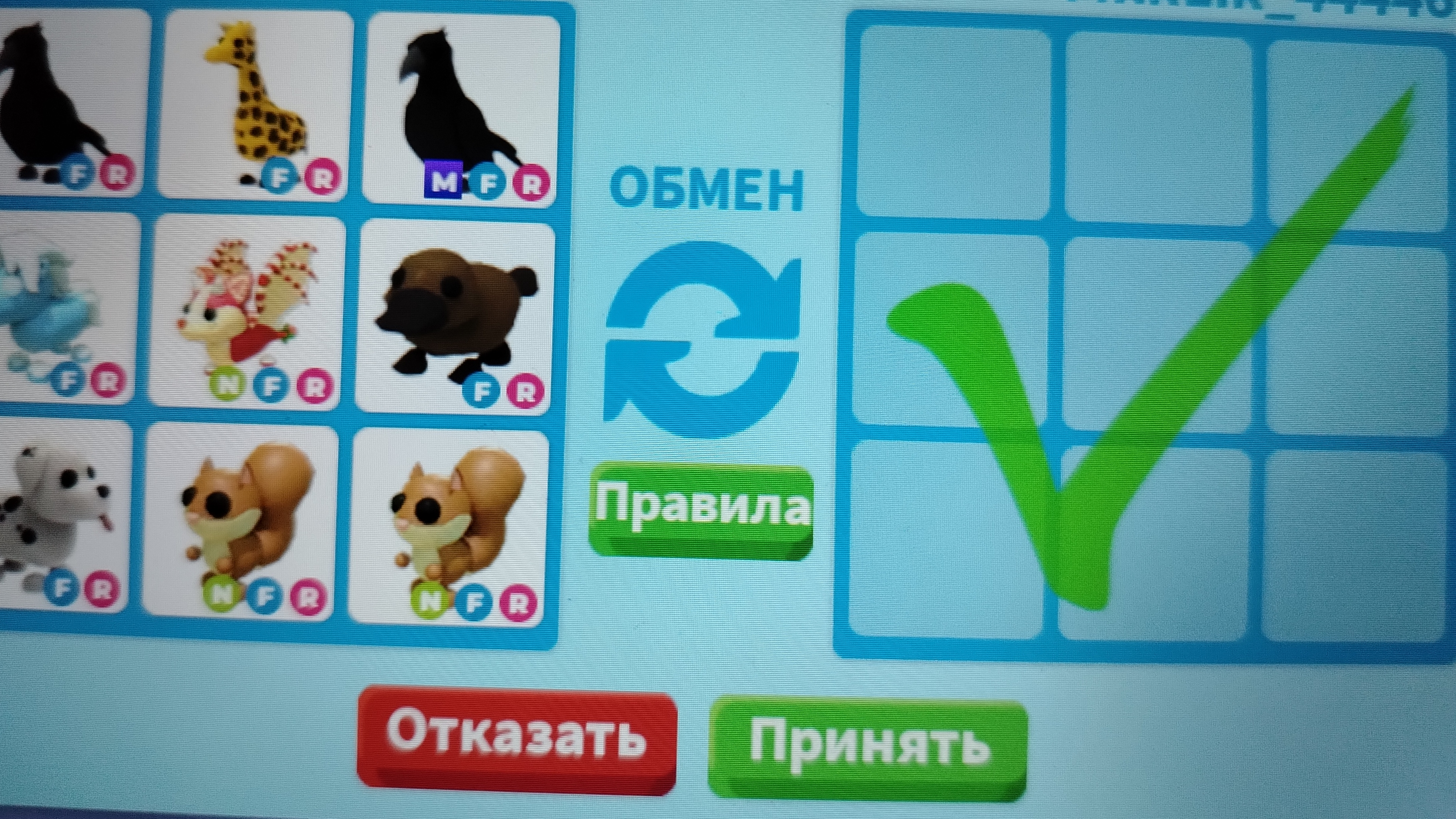 траст трейды адопт ми смотреть онлайн