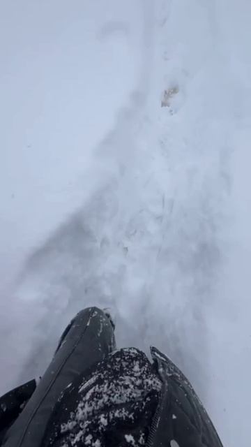 У вас тоже столько снега выпало за ночь? 🎄Роменский смотреть онлайн