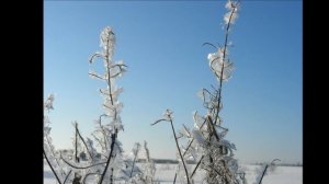 охота в Свече, Вятская губерния