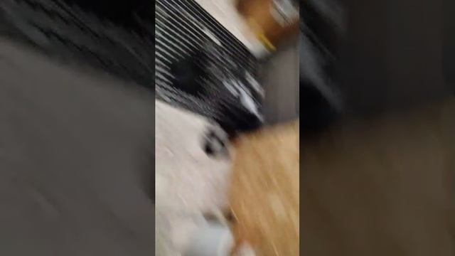 привет всем смотреть онлайн