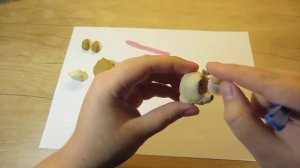 Щенячий патруль Скай/ как слепить щенячий патруль[2017]