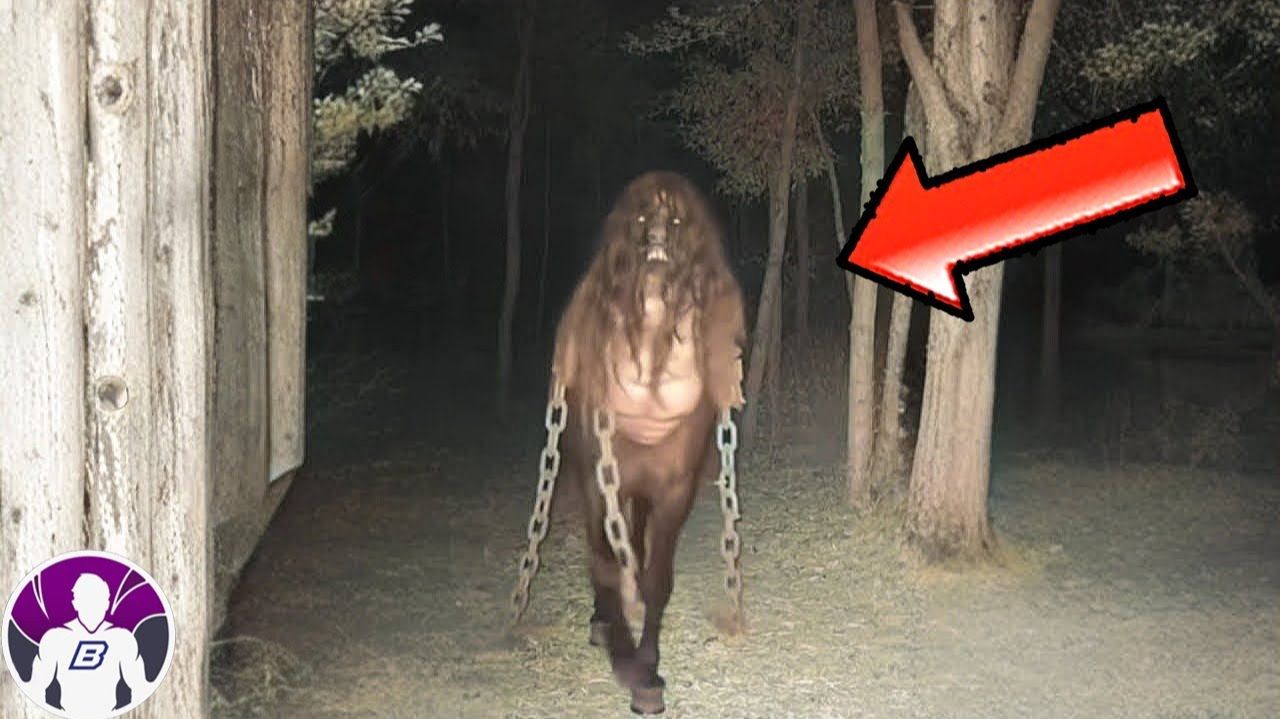 ВИДЕО которые ЗАСТАВЯТ вас ДРОЖАТЬ смотреть онлайн