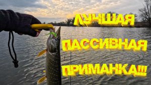 МИКРОДЖИГ! Уговорил щуку на пассивную приманку 👍 Работает безотказно всегда 💪💪💪