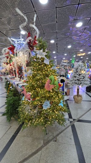 Подготовка к встрече НГ 🎄 Прогулка ❄️ распаковка ✨️