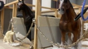 Клип на конкурс (для канала ArinaLife)