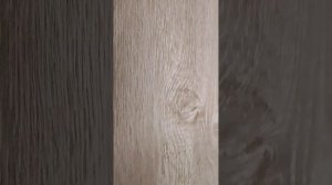 обзор на попугая. 🦜 .mp4