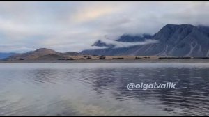 Глава 5. Сопричастность и сочувствие: рождение поддержки