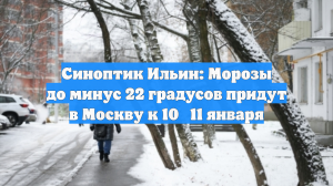 Синоптик Ильин: Морозы до минус 22 градусов придут в Москву к 10‑11 января