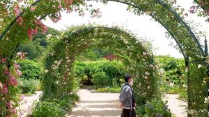 1000010746.mp4  " знак зодиака * Близнецы*...