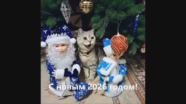 что подарить на новый год коту... смотреть онлайн