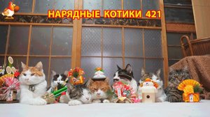 Нарядные Котики расслабляются на солнышке 🌞 🐈🐈🐈 (421)