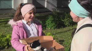 "Посильная помощь" и "У меня вопрос" Два эпизода из нашего "Ералаша"