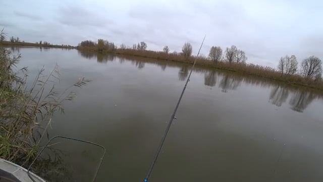 РЫБАЛКА НА САЗАНА. ДОНКА И ЧЕРВЬ, А РЫБА ЖДЕТ ЗИМУ ! смотреть онлайн