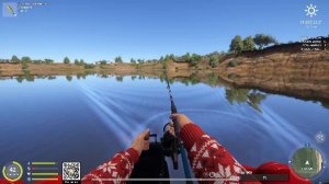 Новогодние задания 2026! Лосось на ахтубе!