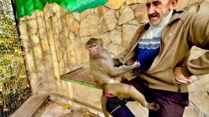 Люся ест семечки как человек, я заставляю ее брать их руками, а не выплевывать изо рта)))