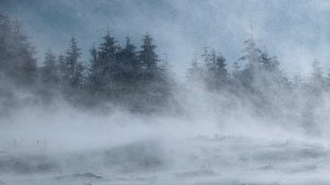 Вьюга. Поёт Валентина  Дробышева