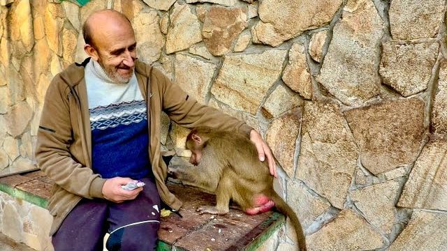 Люся ТРАПЕЗНИЧАЕТ! Она устроила полный досмотр Владу, его карманы были вычищены от семечек полностью смотреть онлайн