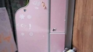 посылка гусю, что же там!(с нами будет гусь!)