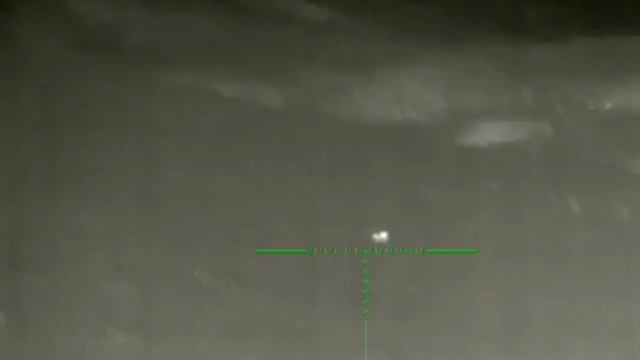 Охота на хищника.шакал.лиса смотреть онлайн