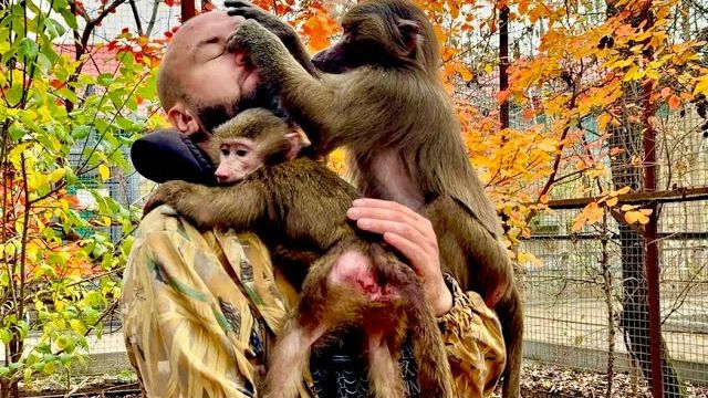 Степа не отходит от Анфисы, а она устраивает кипишь как только Степа к ней подходит))) смотреть онлайн