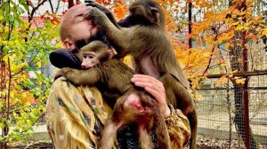 Степа не отходит от Анфисы, а она устраивает кипишь как только Степа к ней подходит)))