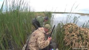 Охота на утку  с чучелами. Налет, за налетом.